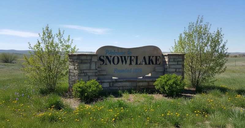 Hero for Home Services Options