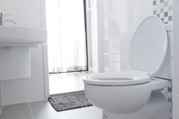 Cost of Toilet Relocation in Mesa