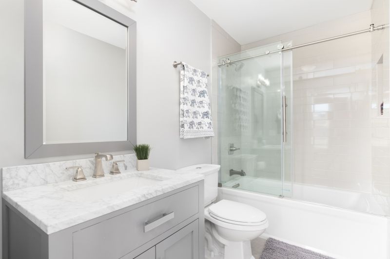 Top Tub To Shower Conversion Companies in Apache Junction, AZ