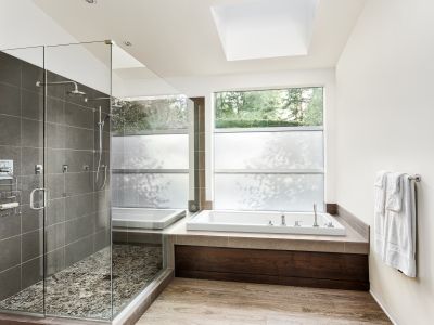 Top Tub To Shower Conversion Companies in Mesa, AZ